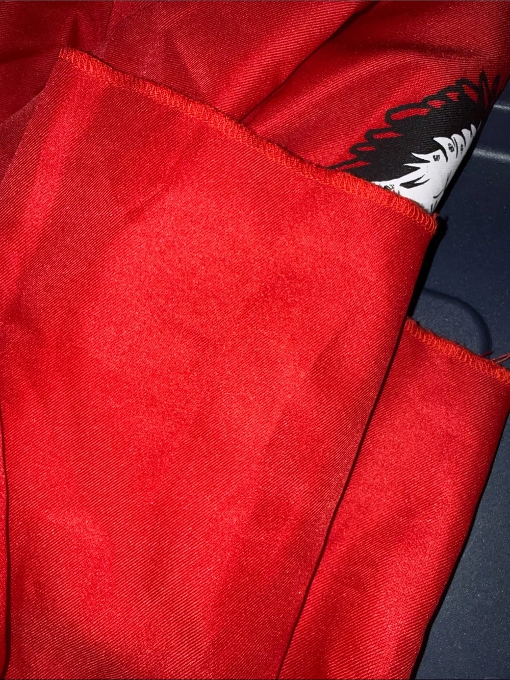 Cobra Kai red martial Arts Style Jacket with Eagle and pants and belt